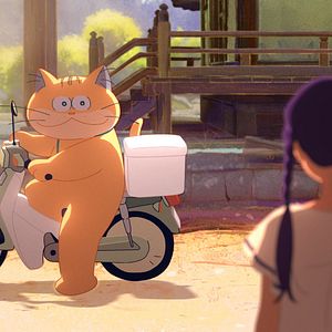 Bilder Ghost Cat Anzu