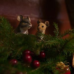 Bilder Mission: Mäusejagd - Chaos unterm Weihnachtsbaum