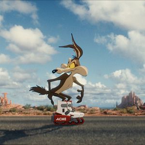 Bilder Coyote vs. ACME