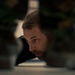 Bilder Admir Šehović