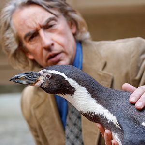 Bilder Steve Coogan