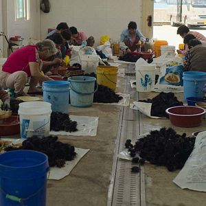 Bilder Die letzten Frauen des Meeres