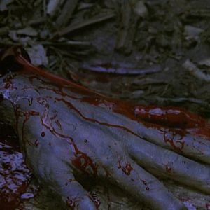 Bilder Dschungelinferno