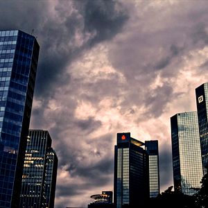 Bilder Urgewald - Auf den Spuren des Geldes