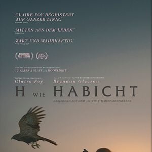Bilder H wie Habicht