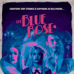 Bilder The Blue Rose