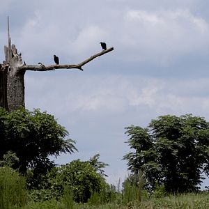 Bilder An Hour From The Middle Of Nowhere