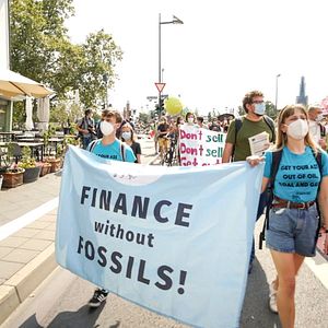 Bilder Urgewald - Auf den Spuren des Geldes