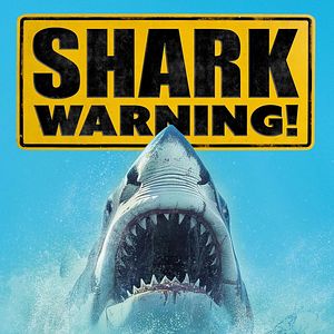 Bilder Shark Warning
