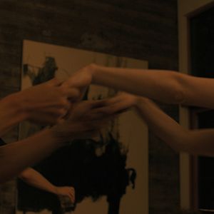 Bilder Companion - Die perfekte Begleitung