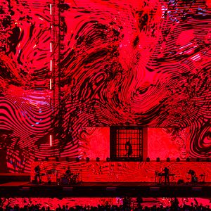 Bilder Ado Special Live "Shinzou" in Cinema