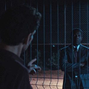 Bilder The Fence - Black Battles With Dogs