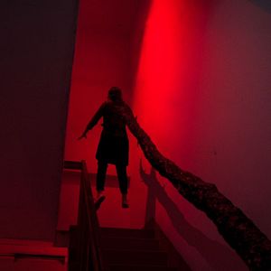 Bilder Creepy Crawly