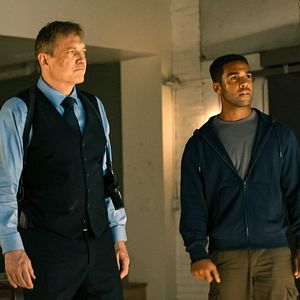 Bilder Brian Van Holt