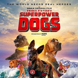 Bilder Superpower Dogs