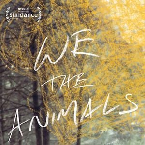 Bilder We The Animals