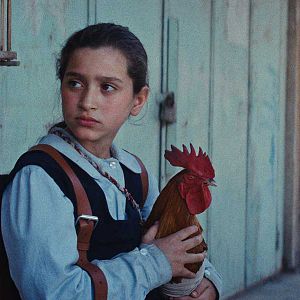 Bilder Ein Kuchen für den Präsidenten 