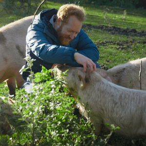 Bilder I Could Never Go Vegan