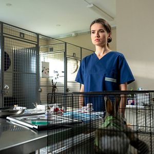 Bilder Inga Lindström: Herz über Kopf