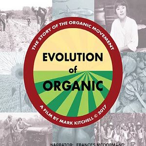 Bilder Evolution of Organic