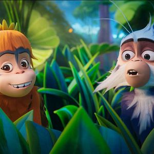 Bilder Jazzy - Chaos im Regenwald