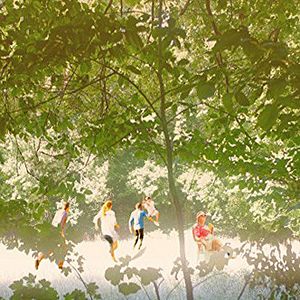 Bilder Summer In The Forest