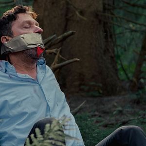 Bilder Bark – Nichts bleibt verborgen