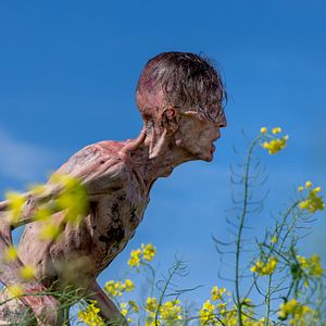 Bilder 28 Years Later