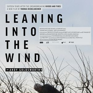 Bilder Leaning Into The Wind - Andy Goldsworthy