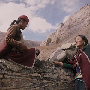 Shambhala Film 2024 FILMSTARTS.de