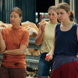 Bilder Milch ins Feuer