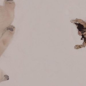 Bilder Polaris - Kriegerin der Eiswüste