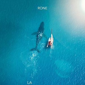 Bilder The Musician and the Whale