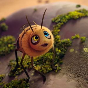 Bilder Alles für die Katz