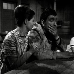 Bilder Das Wunder von Lengede