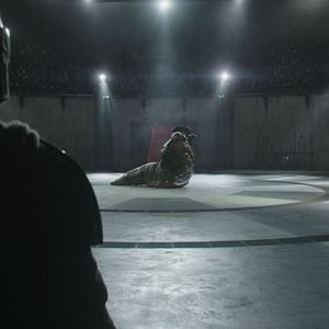 Bilder The Mandalorian And Grogu