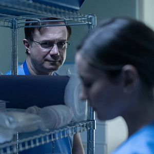 Bilder Die schwarze Witwe