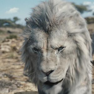 Bilder Mufasa: Der König der Löwen