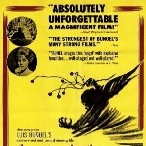 Bilder Der Würgeengel