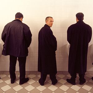 Bilder Die Blume der Hausfrau