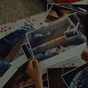 Bilder Food For Profit