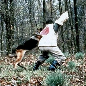 Bilder Gejagt und in Ketten gelegt