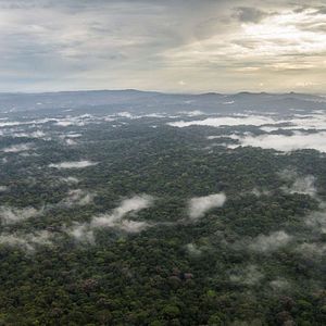Bilder Patrol – Auf Patrouille durch den Regenwald