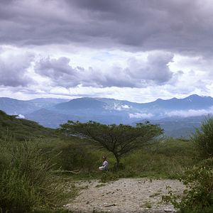 Bilder Wir, die Wolfs