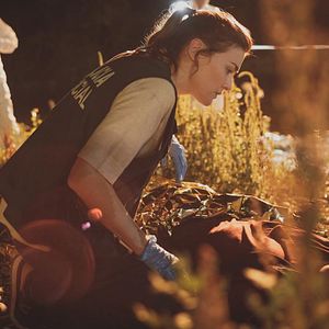 Bilder Blutroter Sommer - Im Bann des Killers