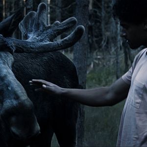 Bilder Fünf Finger sind 'ne Faust