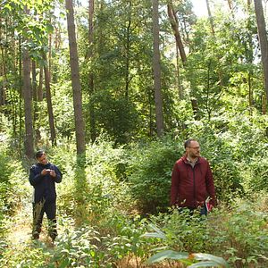 Bilder Wir werden alle sterben!