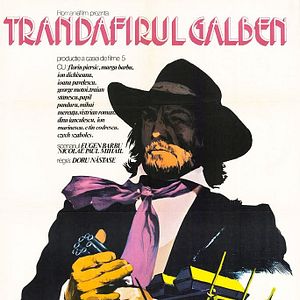 Bilder Die Gelbe Rose lebt gefährlich