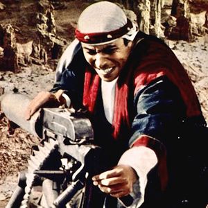 Bilder Raffica - Tiger der Wüste