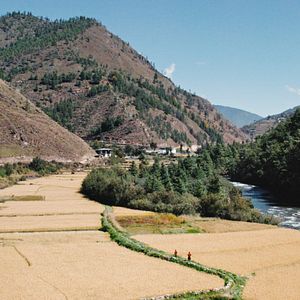 Bilder Agent Of Happiness - Unterwegs im Auftrag des Glücks